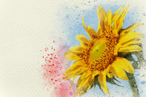 Watercolor painting of a yellow sunflower