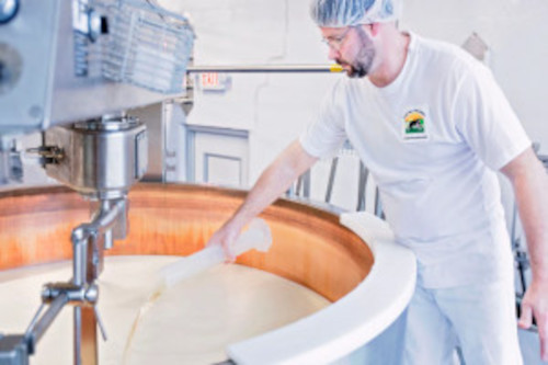Cheesemaker stirring milk with a large paddle.