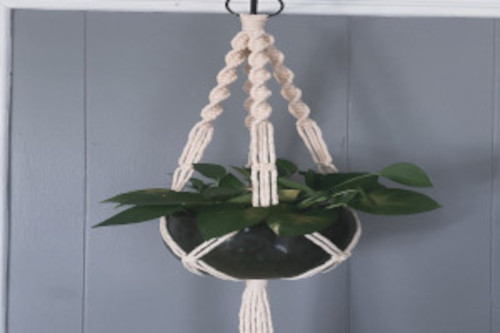 white macrame plant hanger holding a green potted plant