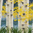 watercolor painting of white birch trees with yellow flowers