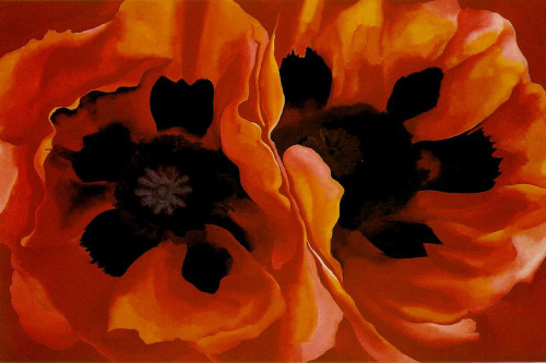 picture of a painting of Georgia O'Keeffe's. Two large red poppies .